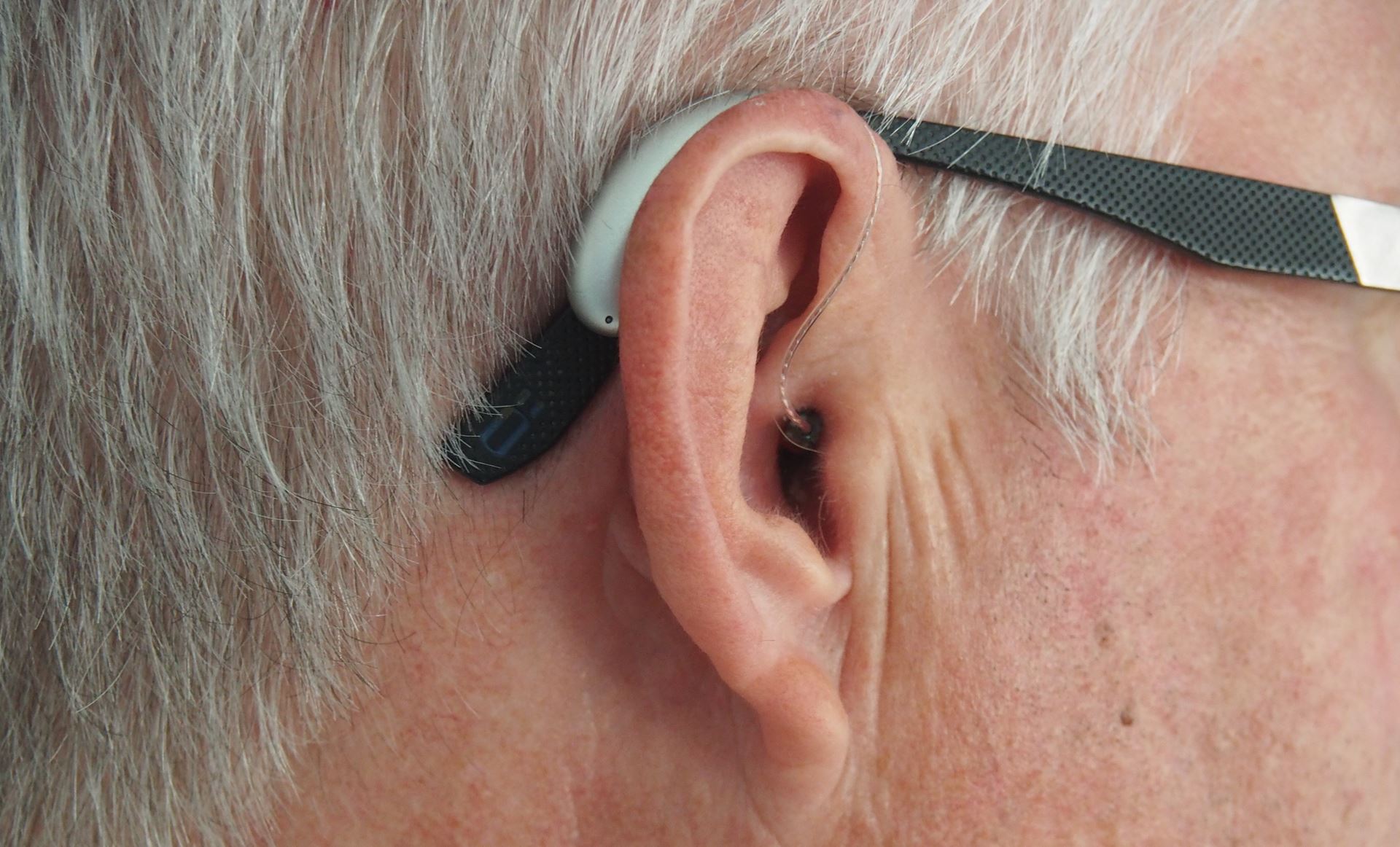 Ears